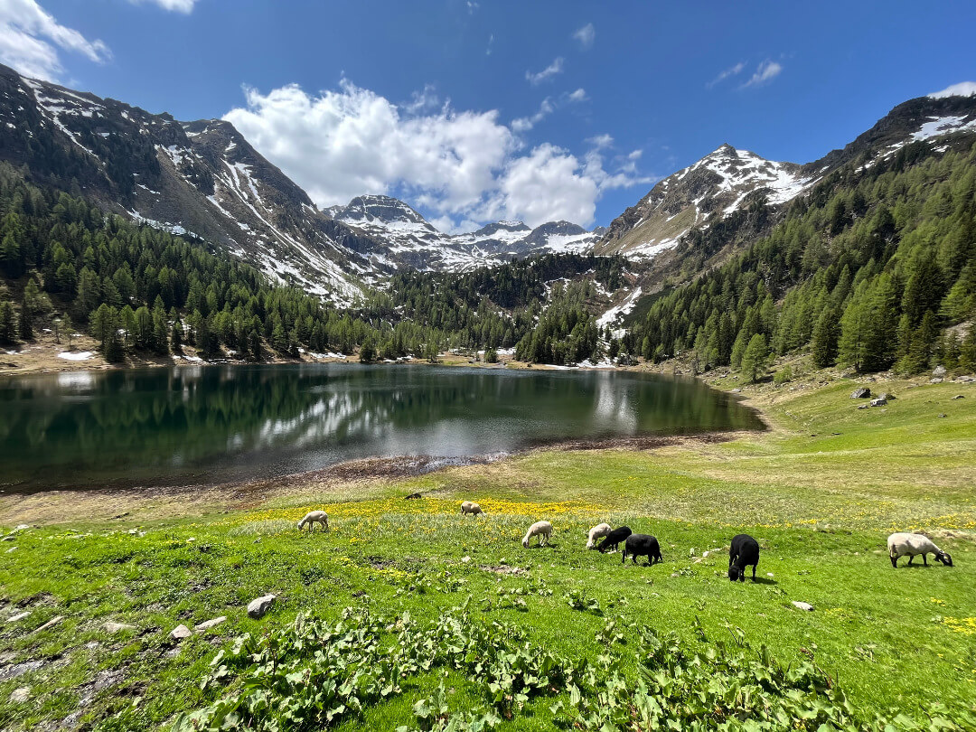 Schladming-Dachstein im Sommer