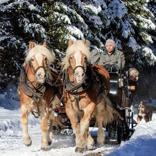 Pferdeschlittenfahrt Schladming