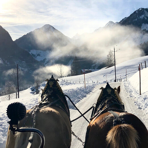 Pferdeschlittenfahrt Schladming