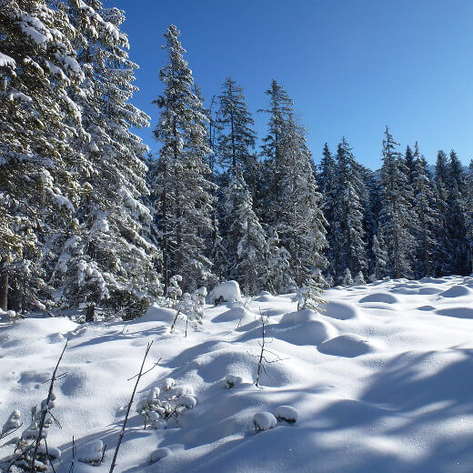 Winterwanderung